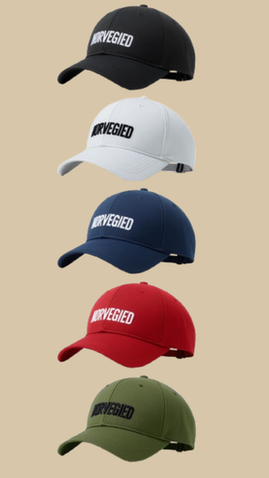 NORVEGIED Low Profile Panel Cap – Minimal Embroidered Baseball Hat