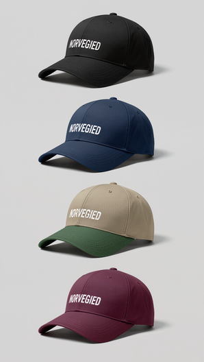 NORVEGIED Low Profile Panel Cap – Minimal Embroidered Baseball Hat