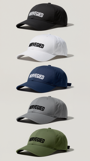 NORVEGIED Semi-Flat Profile Panel Cap – Structured Embroidered Baseball Hat