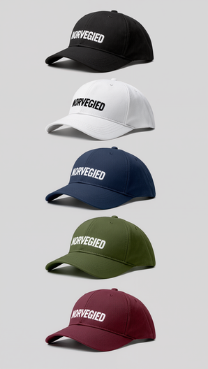 NORVEGIED Semi-Flat Profile Panel Cap – Structured Embroidered Baseball Hat